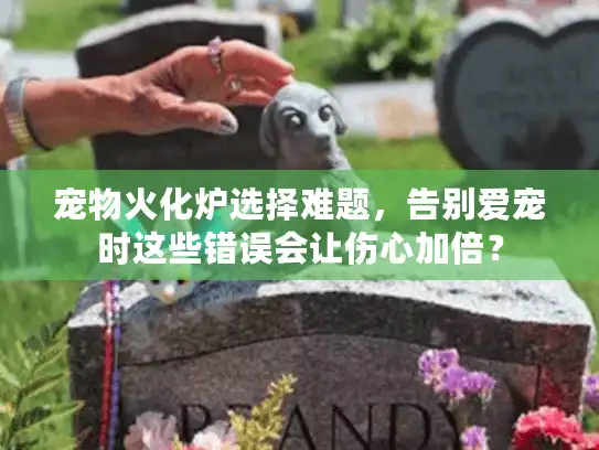 宠物火化炉选择难题，告别爱宠时这些错误会让伤心加倍？