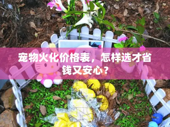 宠物火化价格表，怎样选才省钱又安心？