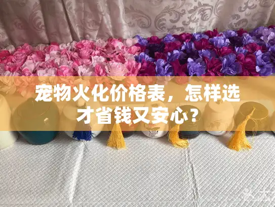 宠物火化价格表，怎样选才省钱又安心？
