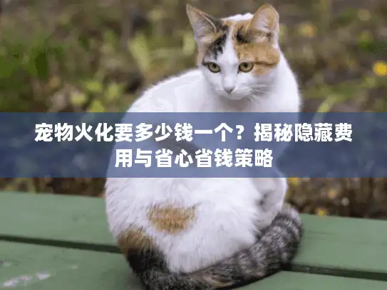 宠物火化要多少钱一个？揭秘隐藏费用与省心省钱策略