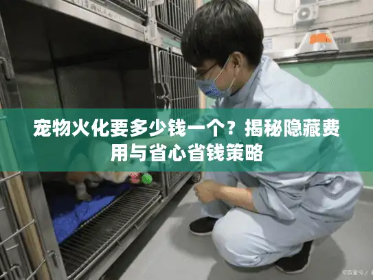宠物火化要多少钱一个？揭秘隐藏费用与省心省钱策略