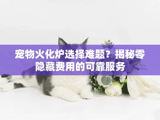 宠物火化炉选择难题？揭秘零隐藏费用的可靠服务
