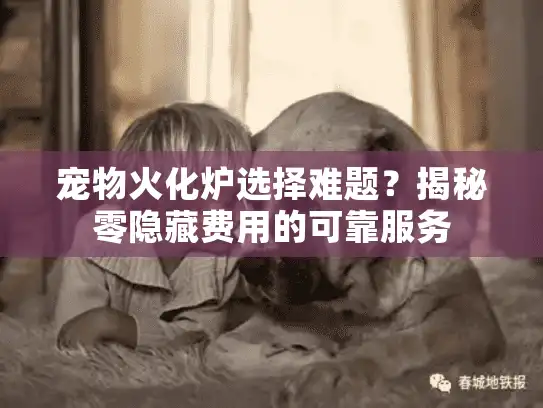 宠物火化炉选择难题？揭秘零隐藏费用的可靠服务