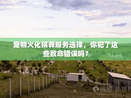 宠物火化殡葬服务选择，你犯了这些致命错误吗？