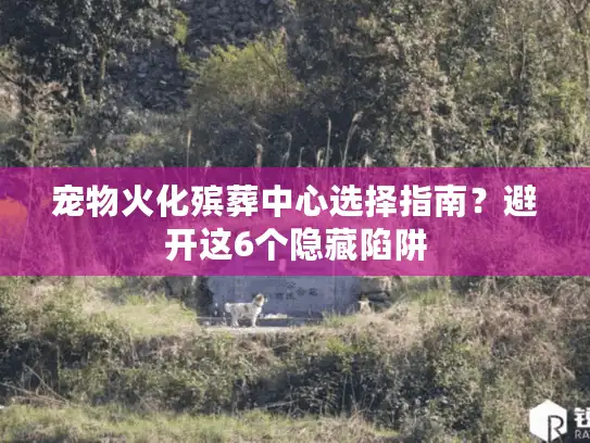宠物火化殡葬中心选择指南？避开这6个隐藏陷阱