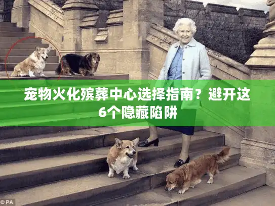 宠物火化殡葬中心选择指南？避开这6个隐藏陷阱