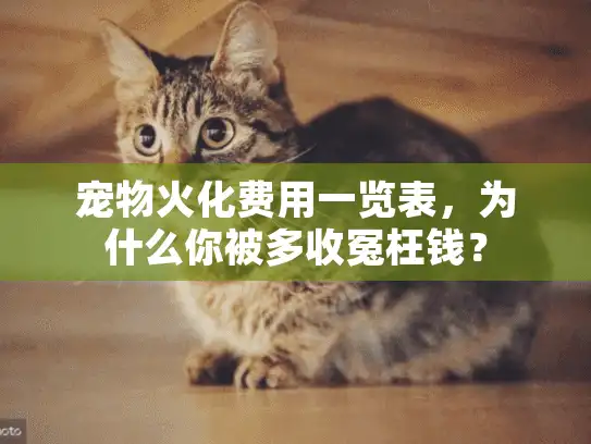 宠物火化费用一览表，为什么你被多收冤枉钱？