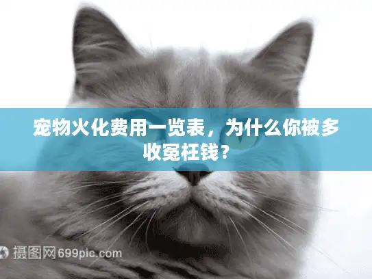 宠物火化费用一览表，为什么你被多收冤枉钱？