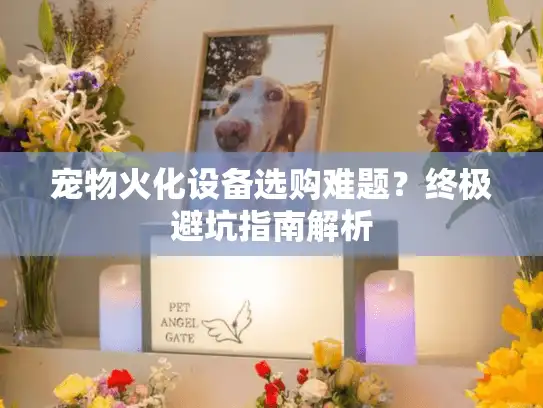 宠物火化设备选购难题？终极避坑指南解析
