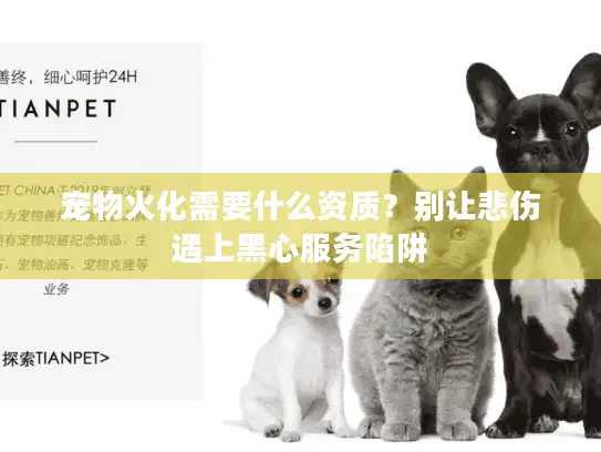 宠物火化需要什么资质？别让悲伤遇上黑心服务陷阱