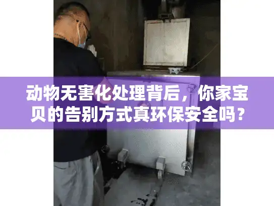 动物无害化处理背后，你家宝贝的告别方式真环保安全吗？