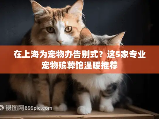 在上海为宠物办告别式？这5家专业宠物殡葬馆温暖推荐