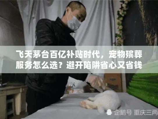 飞天茅台百亿补贴时代，宠物殡葬服务怎么选？避开陷阱省心又省钱