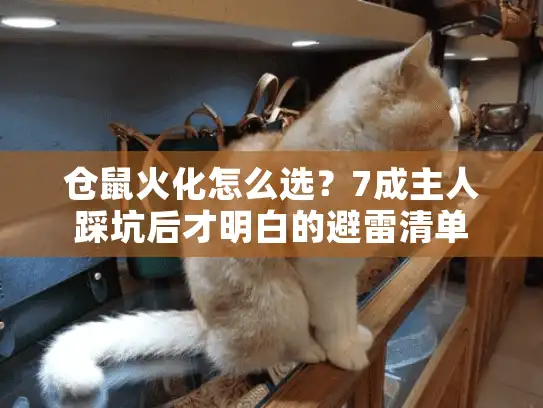 仓鼠火化怎么选？7成主人踩坑后才明白的避雷清单
