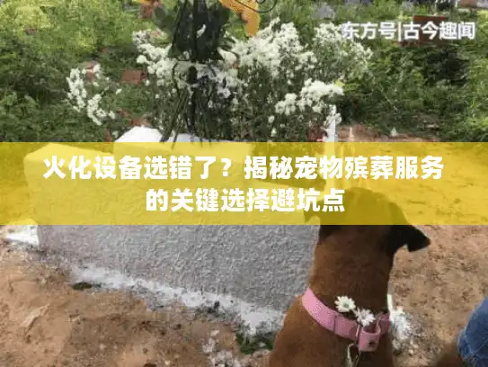 火化设备选错了？揭秘宠物殡葬服务的关键选择避坑点