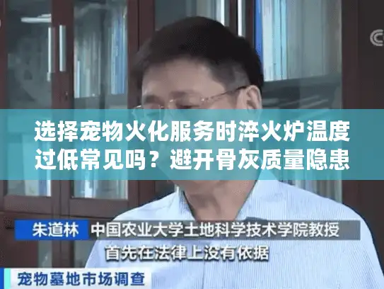 选择宠物火化服务时淬火炉温度过低常见吗？避开骨灰质量隐患的关键指南