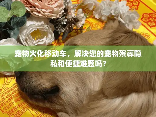 宠物火化移动车，解决您的宠物殡葬隐私和便捷难题吗？
