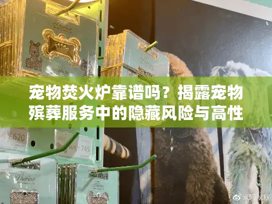 宠物焚火炉靠谱吗？揭露宠物殡葬服务中的隐藏风险与高性价比解决方案