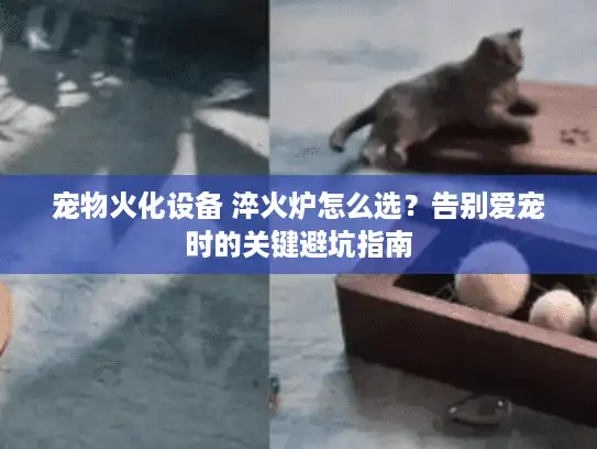 宠物火化设备 淬火炉怎么选？告别爱宠时的关键避坑指南