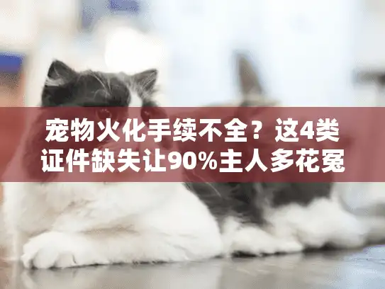 宠物火化手续不全？这4类证件缺失让90%主人多花冤枉钱