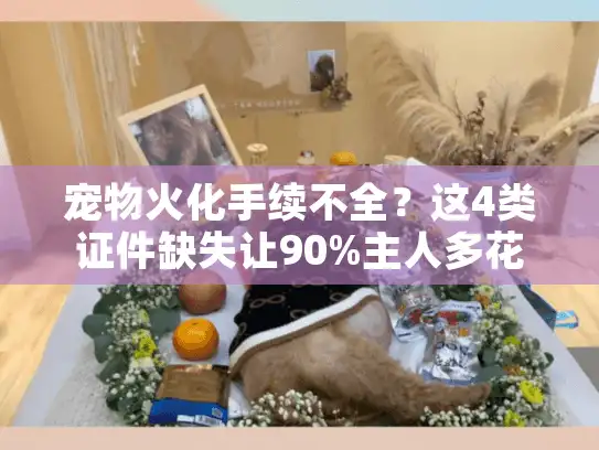 宠物火化手续不全？这4类证件缺失让90%主人多花冤枉钱