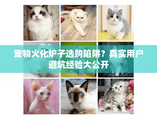 宠物火化炉子选购陷阱？真实用户避坑经验大公开