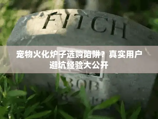 宠物火化炉子选购陷阱？真实用户避坑经验大公开