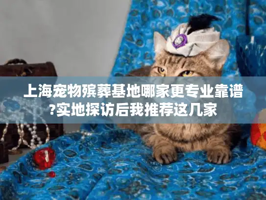 上海宠物殡葬基地哪家更专业靠谱?实地探访后我推荐这几家