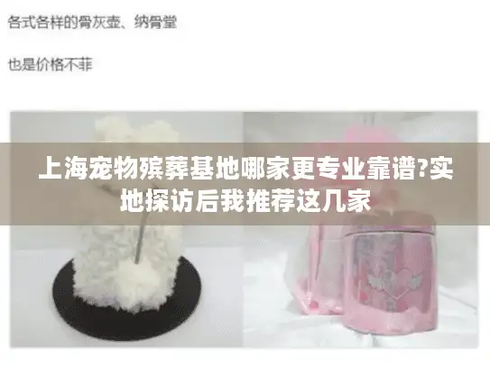 上海宠物殡葬基地哪家更专业靠谱?实地探访后我推荐这几家