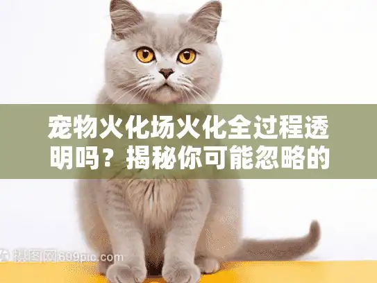 宠物火化场火化全过程透明吗？揭秘你可能忽略的6个关键环节