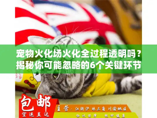 宠物火化场火化全过程透明吗？揭秘你可能忽略的6个关键环节