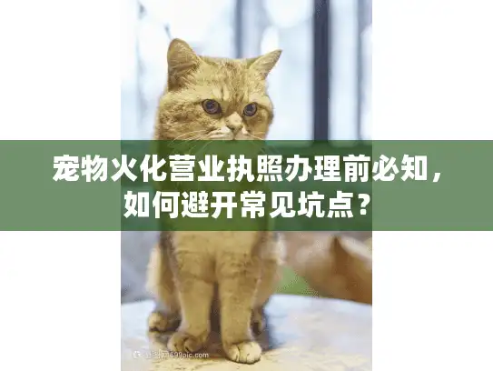 宠物火化营业执照办理前必知，如何避开常见坑点？
