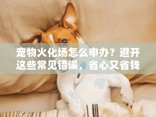 宠物火化场怎么申办？避开这些常见错误，省心又省钱