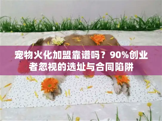 宠物火化加盟靠谱吗？90%创业者忽视的选址与合同陷阱