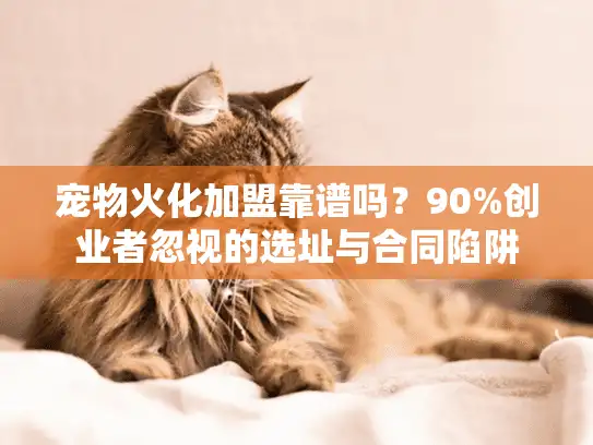 宠物火化加盟靠谱吗？90%创业者忽视的选址与合同陷阱