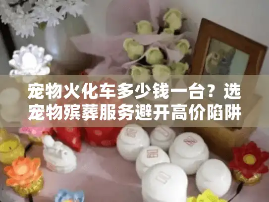 宠物火化车多少钱一台？选宠物殡葬服务避开高价陷阱的心痛时刻