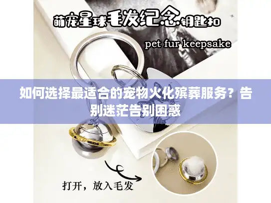 如何选择最适合的宠物火化殡葬服务？告别迷茫告别困惑