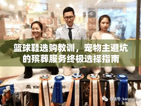 篮球鞋选购教训，宠物主避坑的殡葬服务终极选择指南