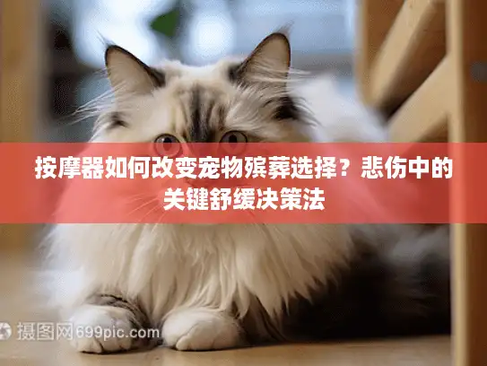 按摩器如何改变宠物殡葬选择？悲伤中的关键舒缓决策法