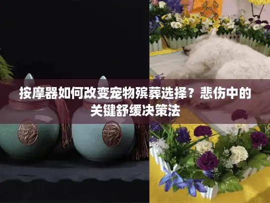 按摩器如何改变宠物殡葬选择？悲伤中的关键舒缓决策法
