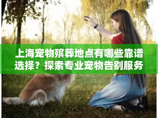 上海宠物殡葬地点有哪些靠谱选择？探索专业宠物告别服务