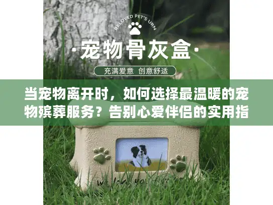 当宠物离开时，如何选择最温暖的宠物殡葬服务？告别心爱伴侣的实用指南