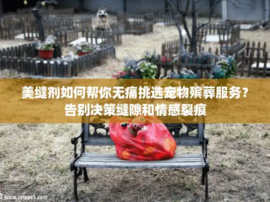 美缝剂如何帮你无痛挑选宠物殡葬服务？告别决策缝隙和情感裂痕