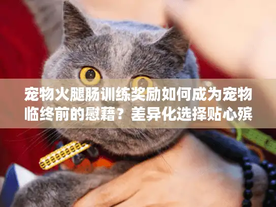 宠物火腿肠训练奖励如何成为宠物临终前的慰藉？差异化选择贴心殡葬服务终极解析