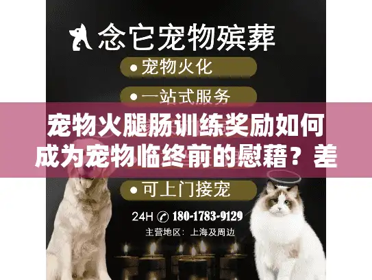 宠物火腿肠训练奖励如何成为宠物临终前的慰藉？差异化选择贴心殡葬服务终极解析