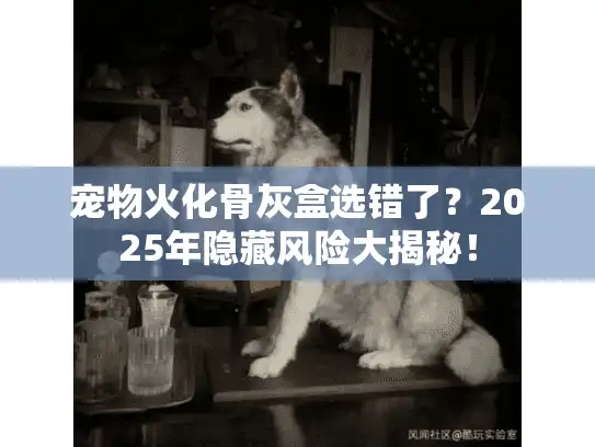宠物火化骨灰盒选错了？2025年隐藏风险大揭秘！