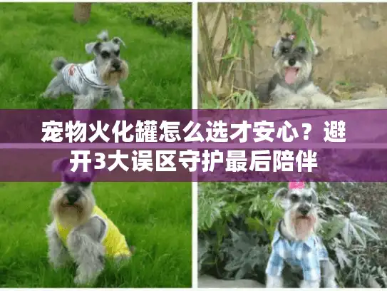 宠物火化罐怎么选才安心？避开3大误区守护最后陪伴