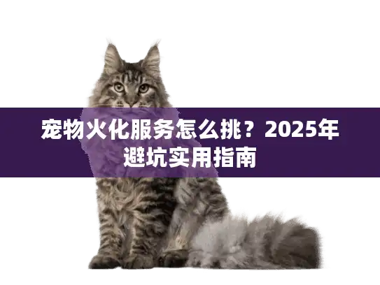 宠物火化服务怎么挑？2025年避坑实用指南