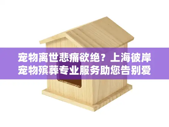 宠物离世悲痛欲绝？上海彼岸宠物殡葬专业服务助您告别爱宠