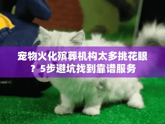 宠物火化殡葬机构太多挑花眼？5步避坑找到靠谱服务